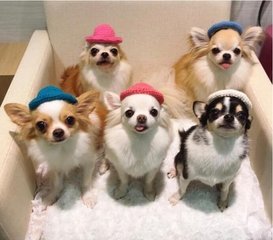 TokenPocket钱包苹果版