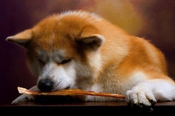 小狐狸钱包质押网址