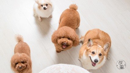如何提币到tokenpocket