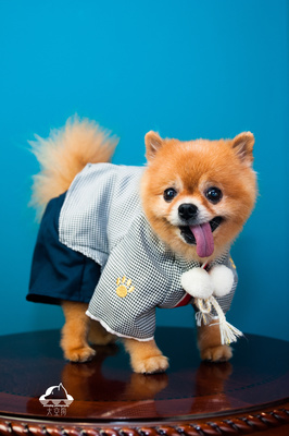MetaMask(小狐狸)钱包使用教程