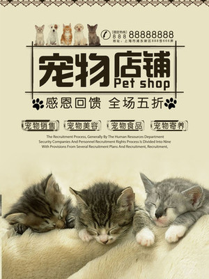 比特币钱包地址怎么填