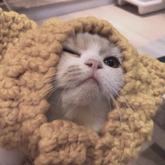 库神钱包