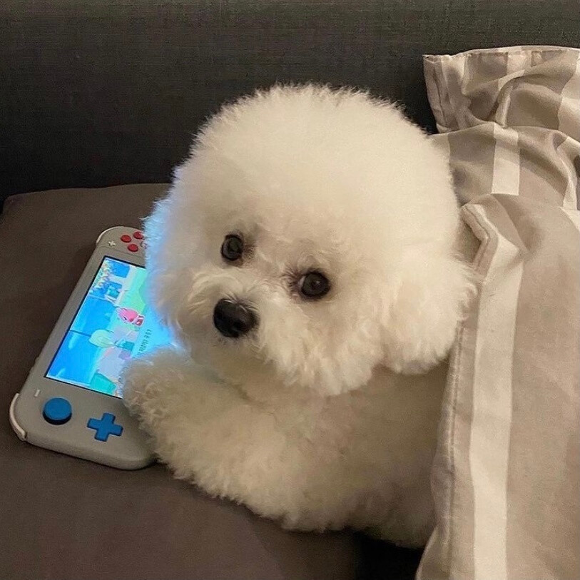 tp钱包最新版下载官网